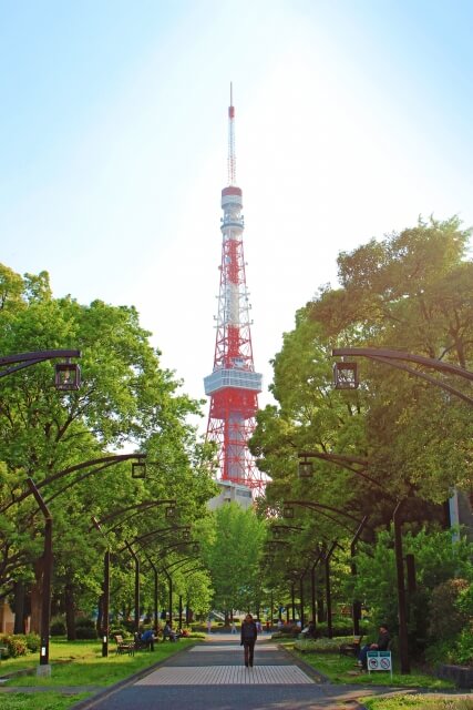 東京タワーがきれいなフォトスポット ドラマでよく見る芝公園4号地がおすすめ すこラピ
